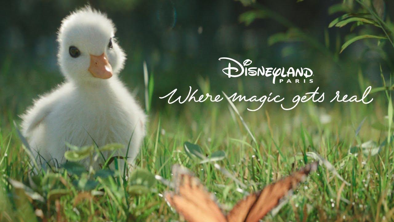 法国迪士尼获奖广告小鸭子的故事唐老鸭的大脚丫