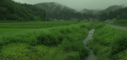 430_205gif 动态图 动图