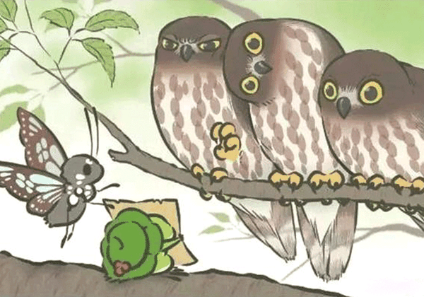 第一批稀有明信片的一张;注意猫头鹰占的画面比例,大色块的压面