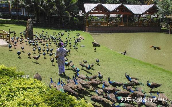 西双版纳旅游景点及介绍,到西双版纳旅行需要注意的事项!