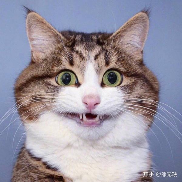 佩服他可以忍受我这么烂的脾气