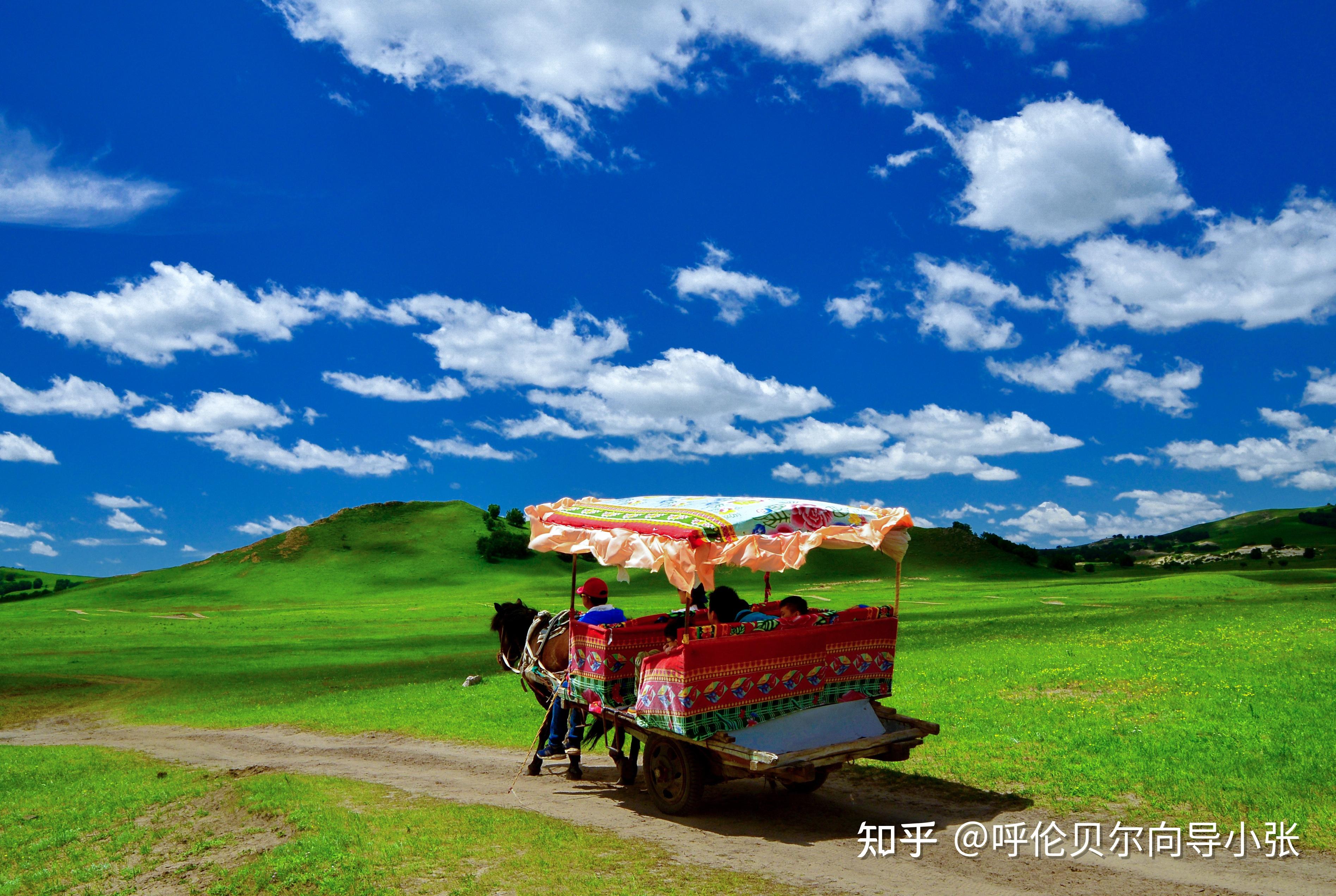 呼伦贝尔大草原旅游的详细攻略有哪些