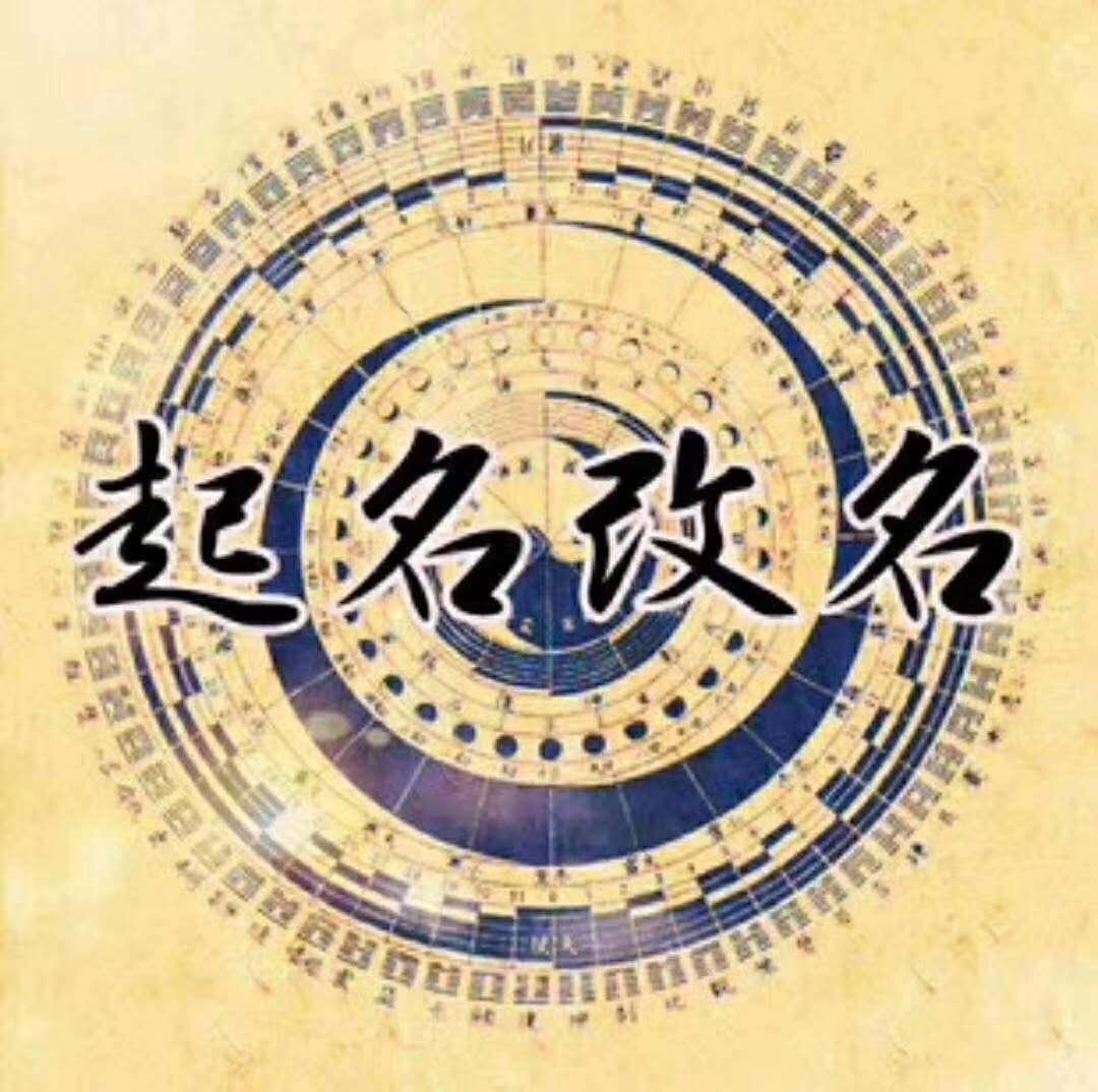 2019属猪宝宝起名取名字,如何起名取名字?