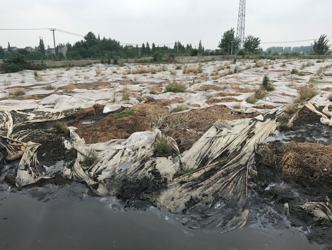 大多数村庄却没有排水渠道和污水处理系统,生活污水无序排放,造成农村