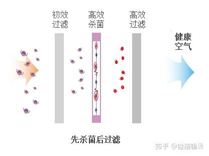 杀菌净化原理