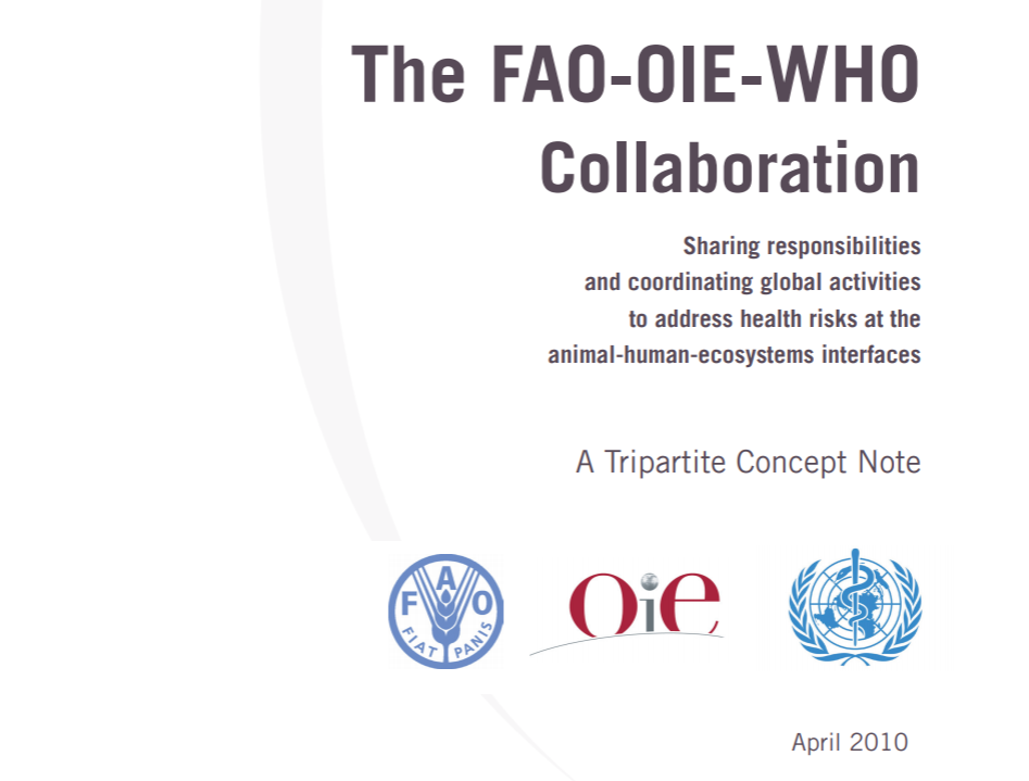 fao/oie/who