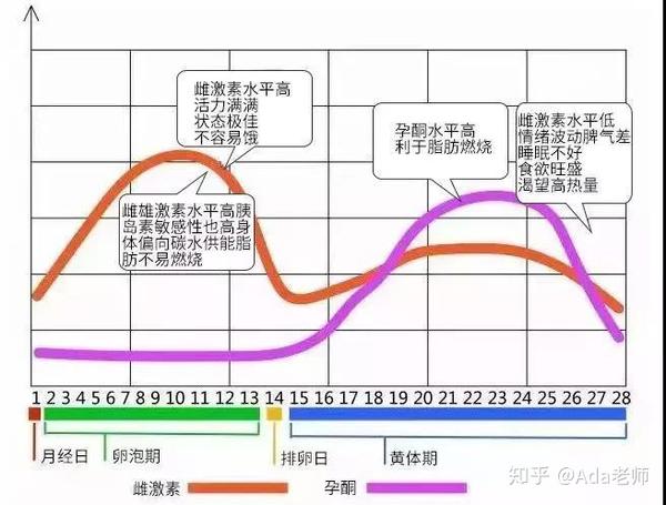 其发生和月经周期有明显相关.