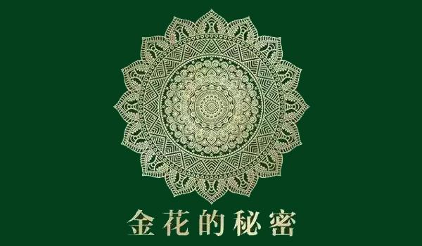 金花的秘密
