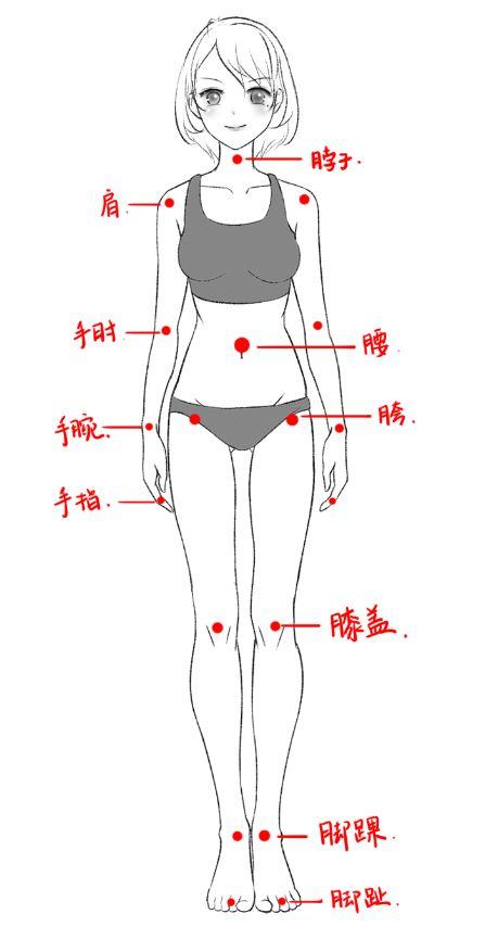 第八篇关节的活动范围阿汤哥美术中阶教程