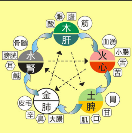 五行相生:木生火,火生土,土生金,金生水,水生木.