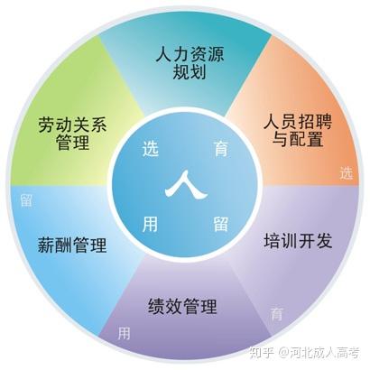 人力资源配置就是指在具体的组织或企业