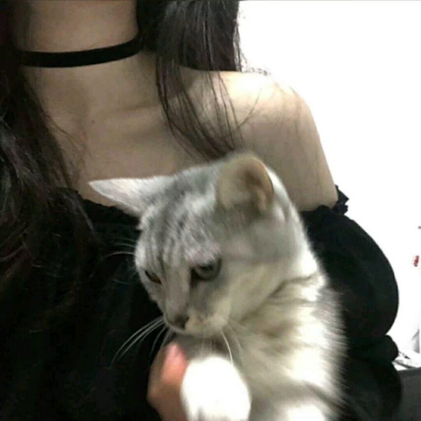 有没有女生抱着猫咪的头像呀