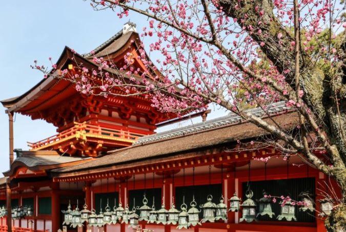 (看日本)日本历史遗迹-古奈良历史纪念遗迹