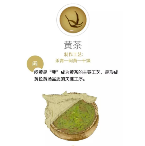 黄茶的典型工艺流程是 杀青, 闷黄, 干燥, 揉捻是黄茶必不可少的工艺