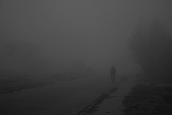 『图片素材』 关于雾/关于迷失 - 知乎