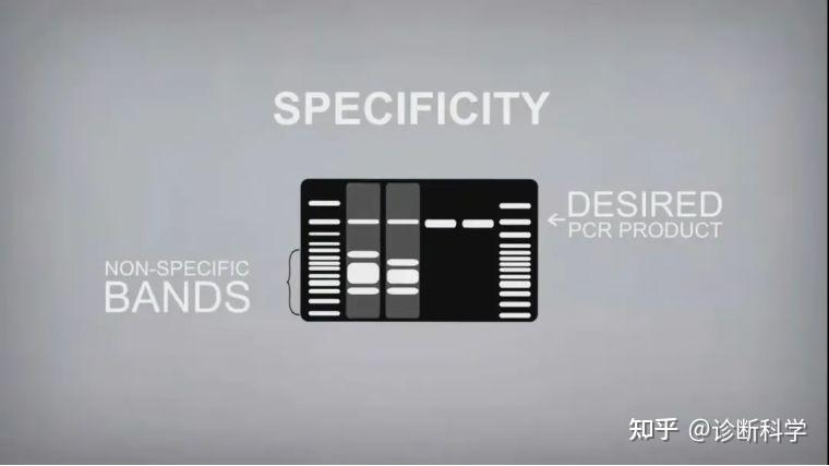 Pcr Dna