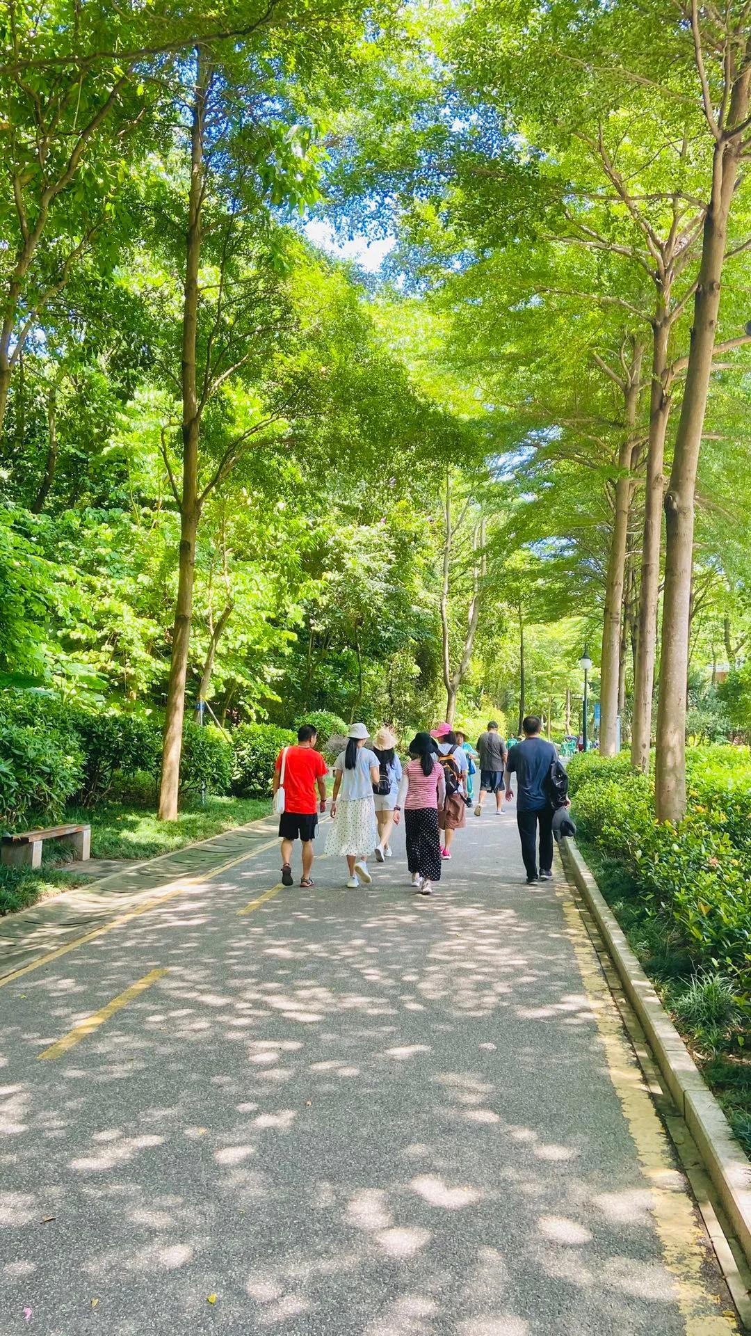 深圳最大公园-大沙河公园,周末节假日徒步游玩攻略