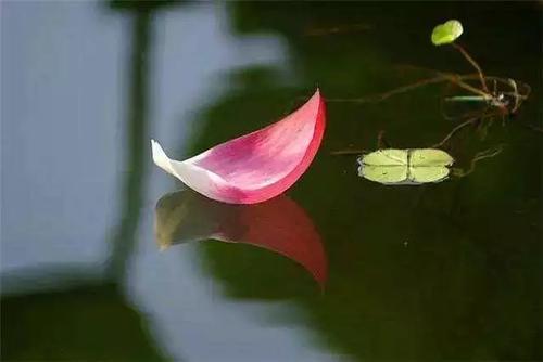 静坐丨无问西东 只管静坐