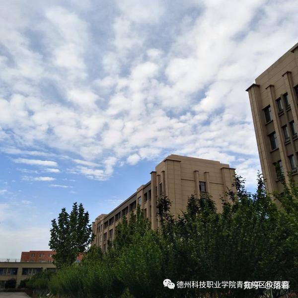 德州科技职业学院