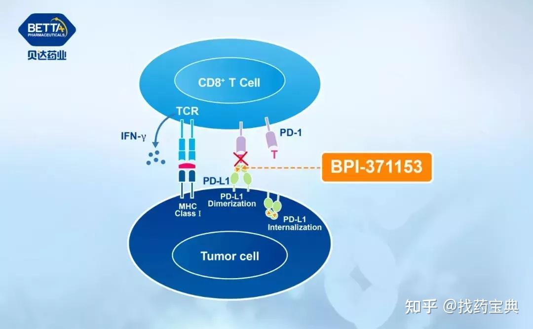 30秒完成给药全球首款皮下注射pdl1中国上市口服pd1l1还远么