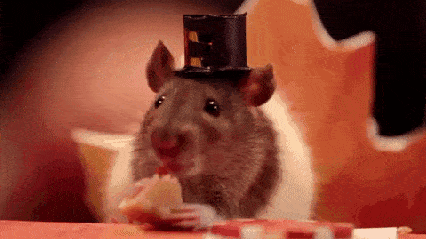 欣源说全世界铺天盖地推荐blw实际上研究数据屈指可数–固体食物三