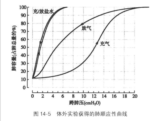 如何解释肺压力容积曲线的滞后现象生理学答疑03