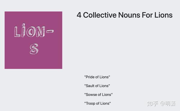 collectivenounsforlions