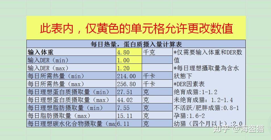 猫咪喂食量计算方法指南丨喂食频率与时间间隔丨每天需要吃多少猫粮