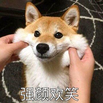 有哪些猥琐的表情包?