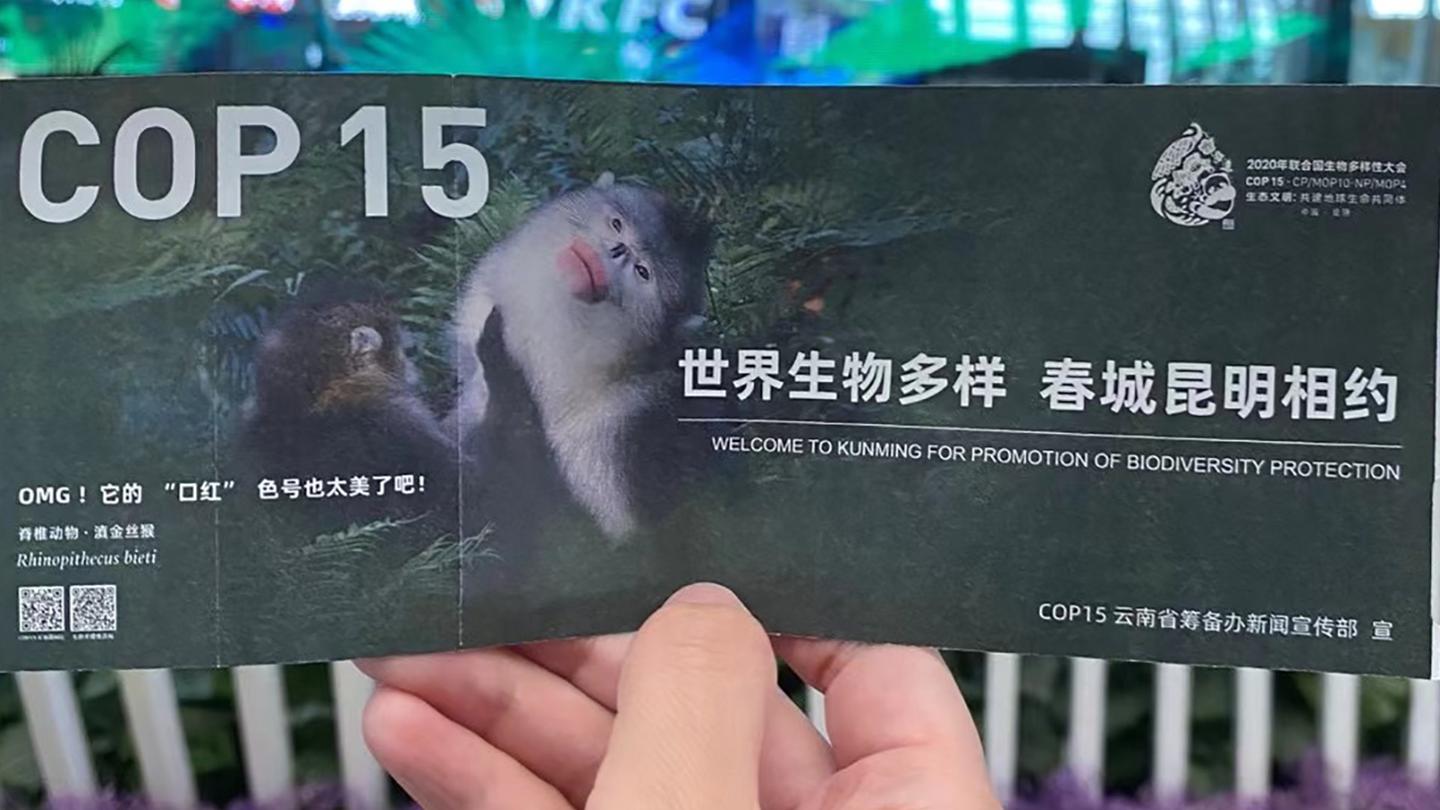成果超预期cop15第一阶段会议闭幕
