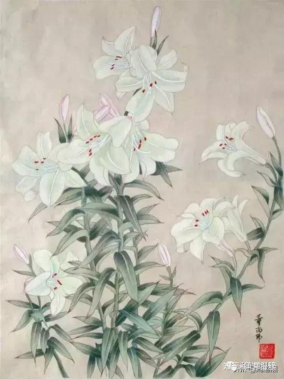 中国工笔百合花,清新脱俗