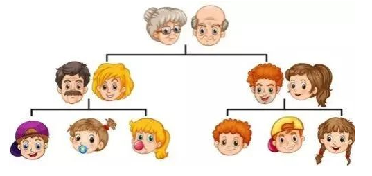 cousin图片,cousin简笔画 is marrying your cousin actually dangerous?