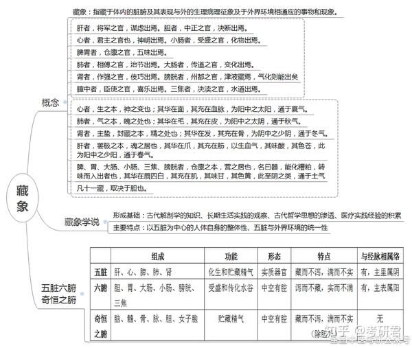 【中医考研】20张超全思维导图,让你吃透脏腑知识重难