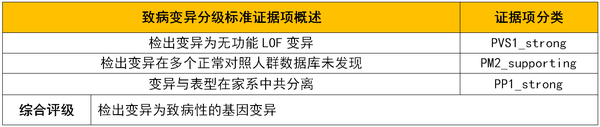 案例分享 | 罕见病基因诊断——stickler综合征