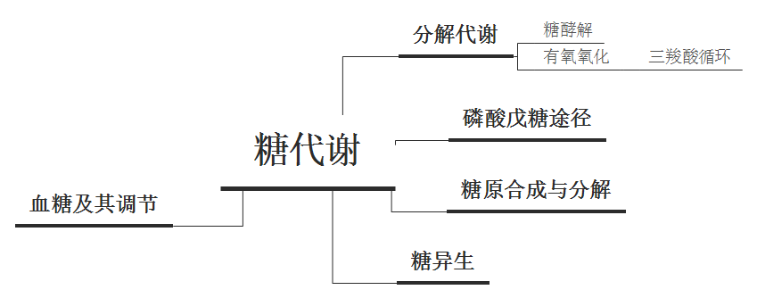 糖尿病什么是葡萄糖代谢和内分泌胰腺