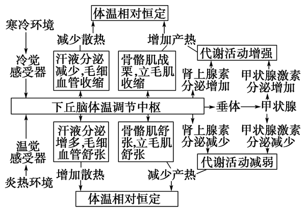 高中生物1发烧时的产热和散热问题