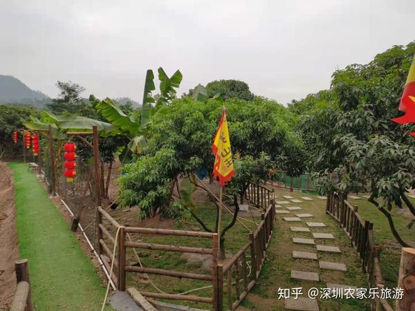 深圳农家乐一日游康体休闲基地-乐水山庄让您回归自然