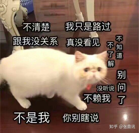 有哪些沙雕表情包?