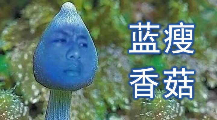 视角从蓝瘦香菇看方言视频传播力