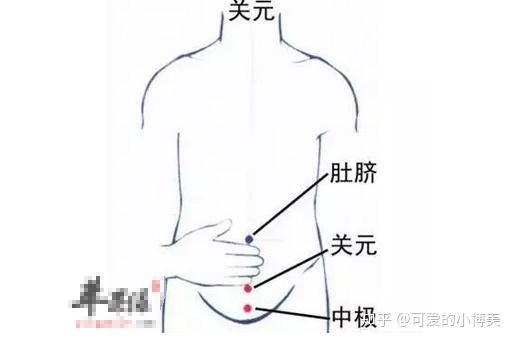 (2)按揉 肾俞穴:对消除肾结石有很好的效果 【位置】:腰部,第2腰椎棘