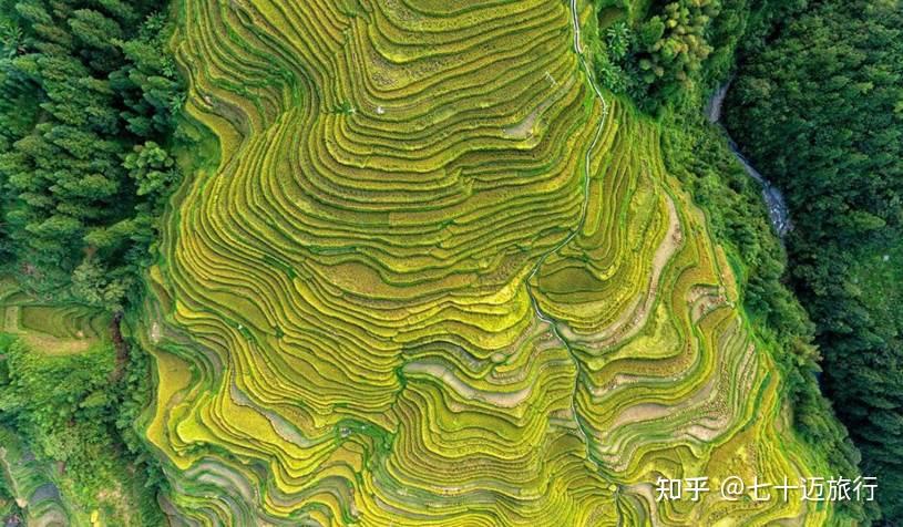 贵州加榜梯田景色如何用简单的攻略吗