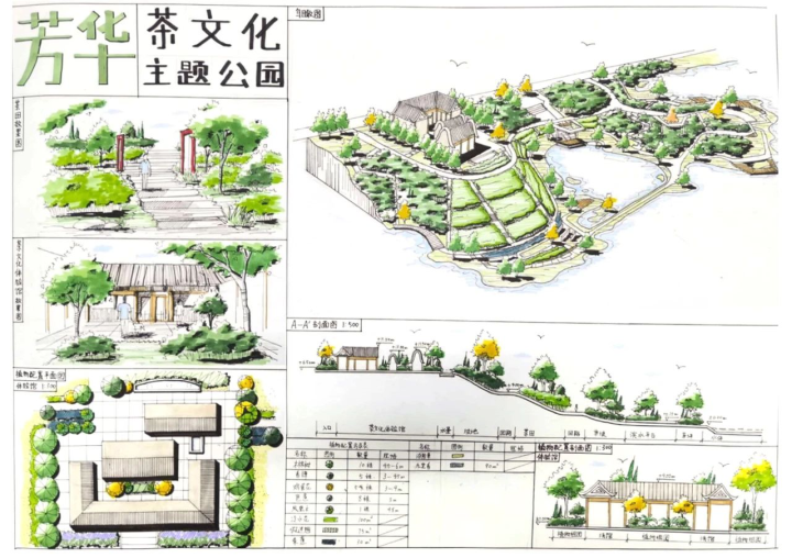 【聚焦华农风园】华农景观秋季班课程快题解析 ——茶文化主题园设计