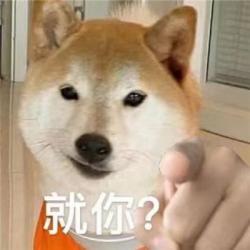 指人表情包合集#这该死的压迫感