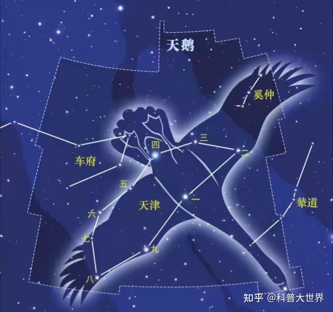 夜空中的天鹅座是一个透露着神秘意味的星座,被认为附近可能存在外星