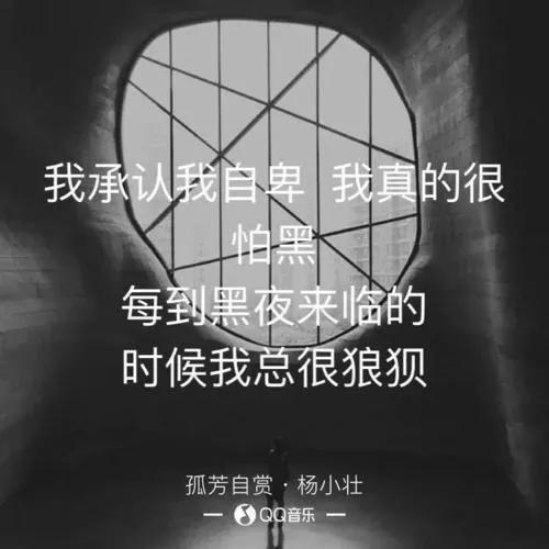 里面有一句歌词是这样的: 我承认我自卑,我真的很怕黑,每当黑夜来临的