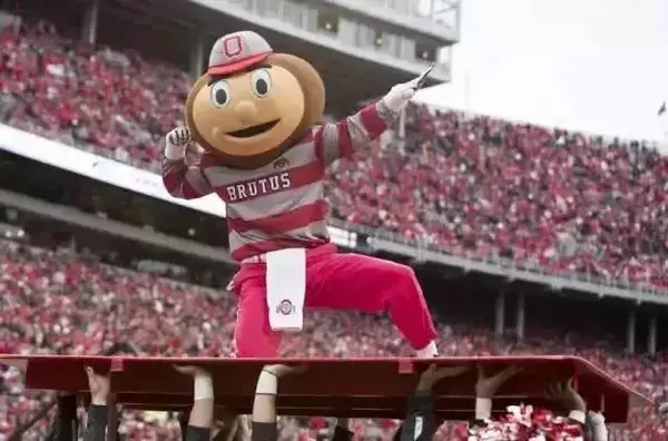 brutus buckeye是俄亥俄州立大学的吉祥物