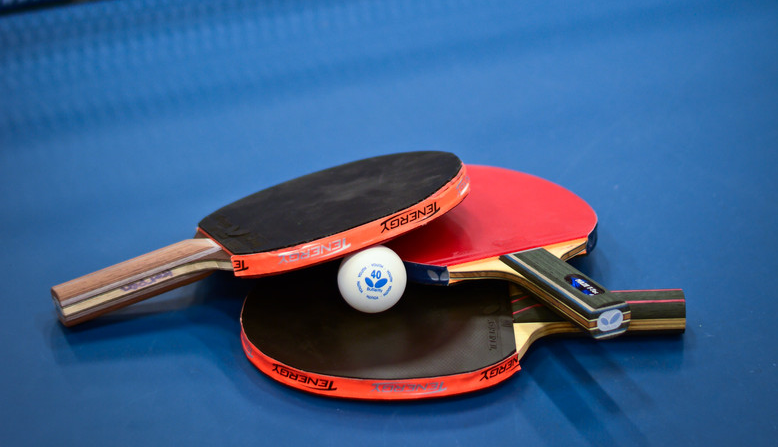 20219月年乒乓球拍推荐球拍选购攻略乒乓球拍哪个牌子好红双喜蝴蝶