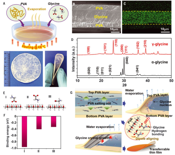 science一种基于甘氨酸与聚乙烯醇压电生物材料薄膜