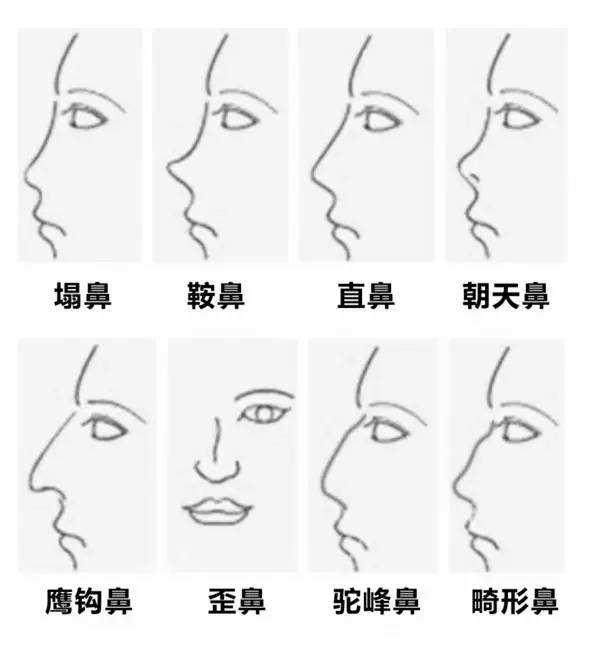 什么鼻子 zhuanlan.zhihu.com