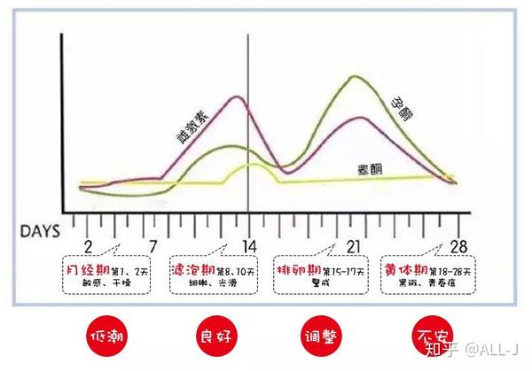 孕激素 而孕激素跟雄激素刚好相反